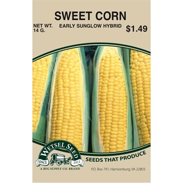 Wetsel Seed Corn - Early Sunglow (10 g Packet)