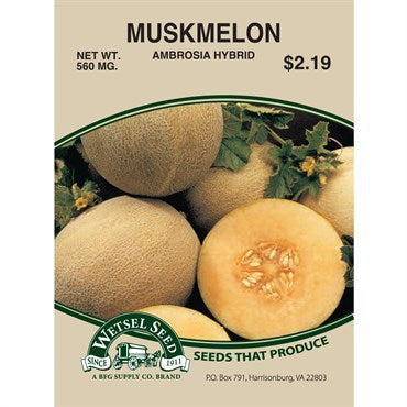 Wetsel Seed Muskmelon / Cantaloupe - Ambrosia (180mg Packet)
