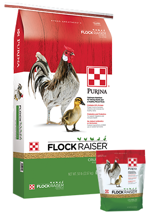 Purina® Flock Raiser® Crumbles (50 lb)